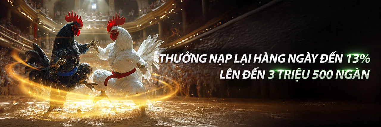Đấu trường đá gà trực tuyến nw88 apk